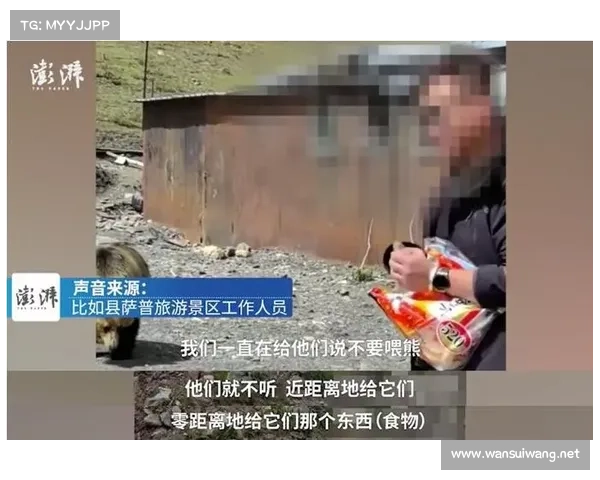 “藏马熊疑似突然袭击游客”?景区回应 “藏马熊疑似突然袭击游客”?景区回应