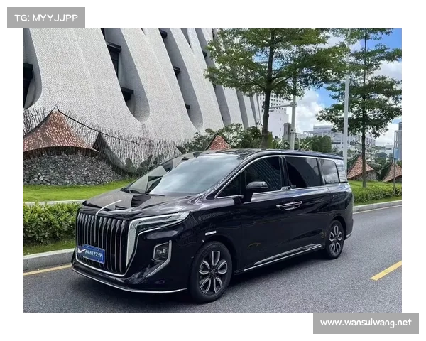 全新红旗MPV上市！领导同款仅需36万！